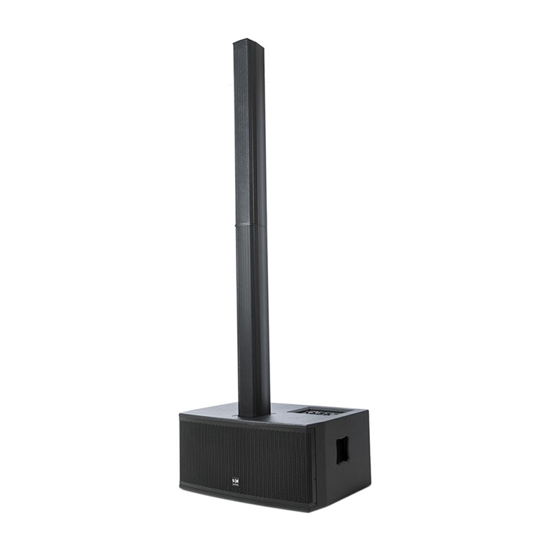 Loa SE Audiotechnik C6