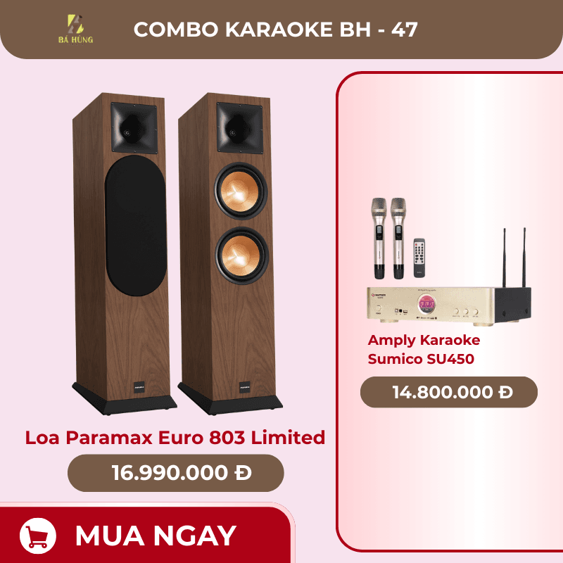 Loa Paramax Euro 803 Limited, Amply Karaoke Sumico SU450